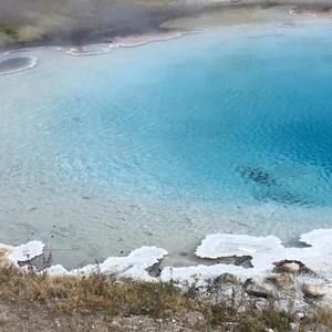 Meet your Posher, Buddy